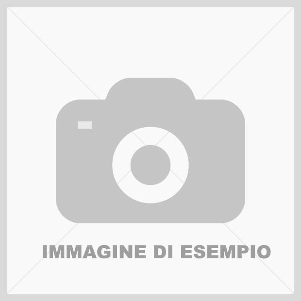 405522_Esempio2.jpg 405522_Esempio2.jpg